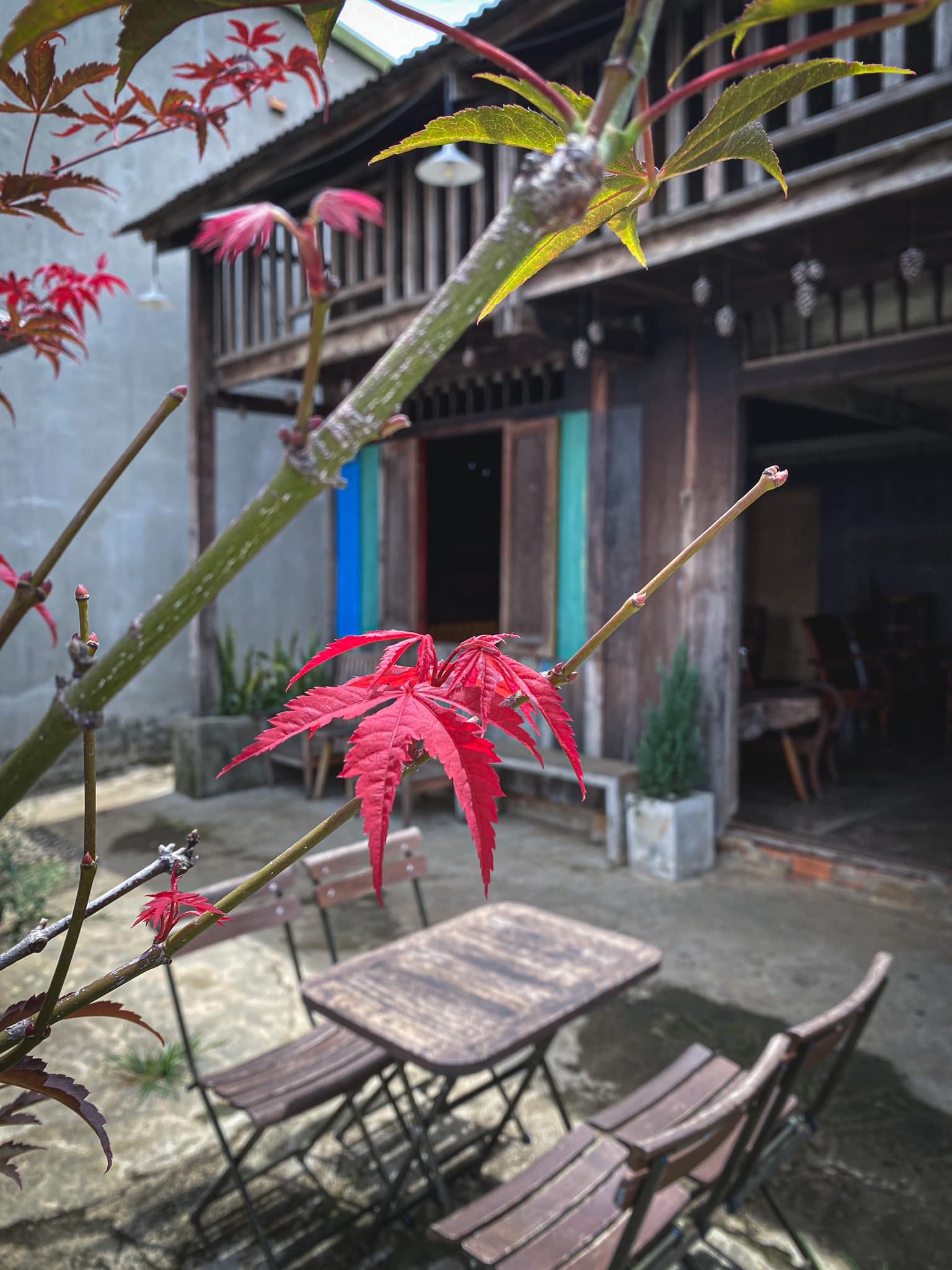 quán cà phê ở Buôn Ma Thuột B's House Đà Lạt thu nhỏ