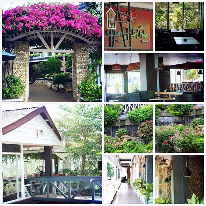 quán cà phê ở Buôn Ma Thuột Phong Lữ Thảo sân vườn