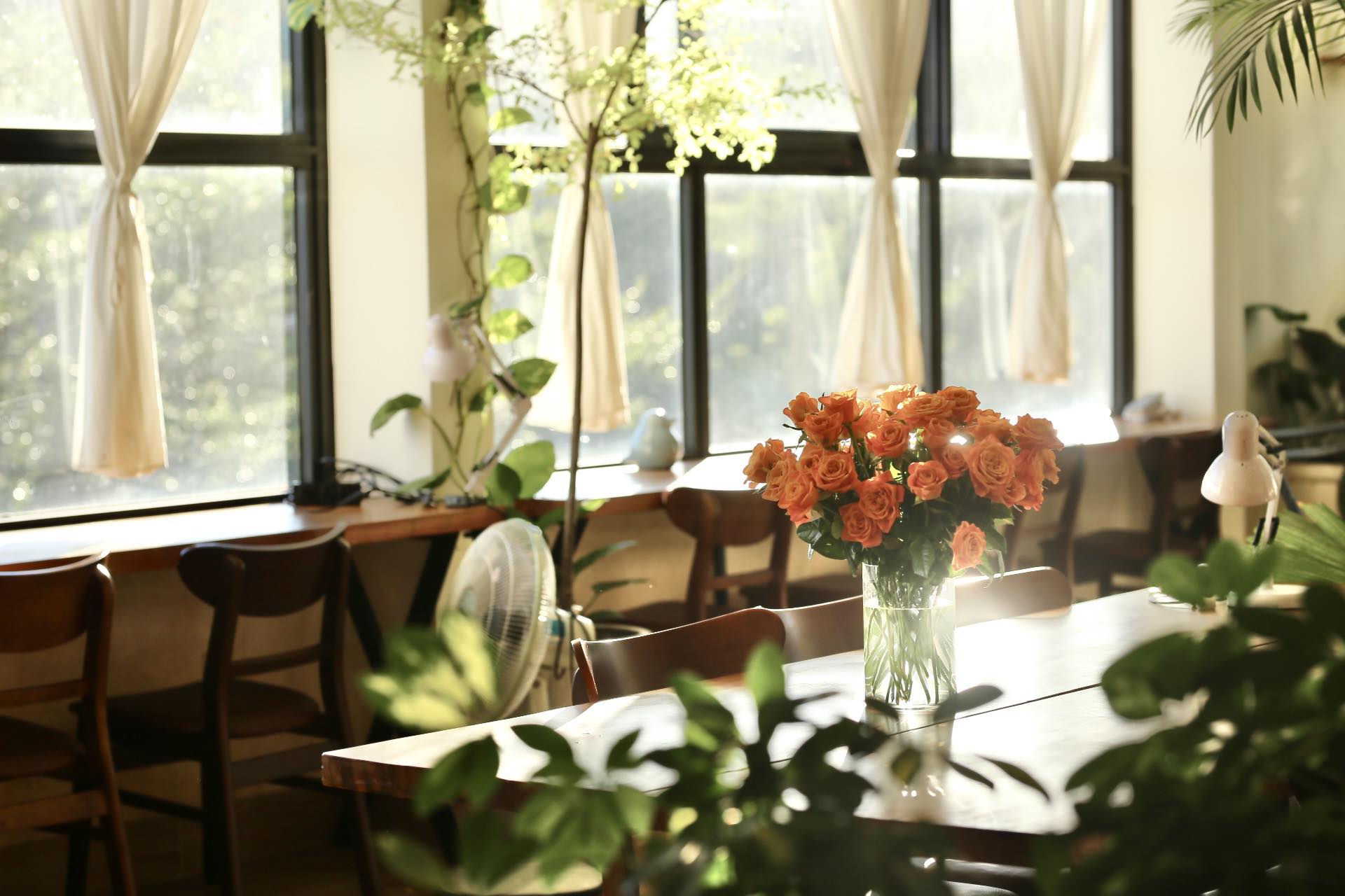quán cà phê ở Buôn Ma Thuột Yên Coffee view sông
