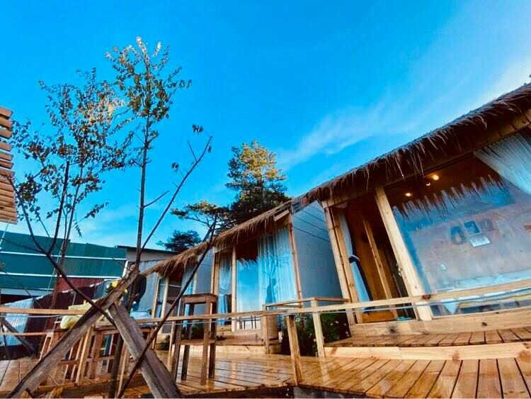 Con Tù Lì với không gian mở và tầm nhìn đồi thông quán cafe đà lạt