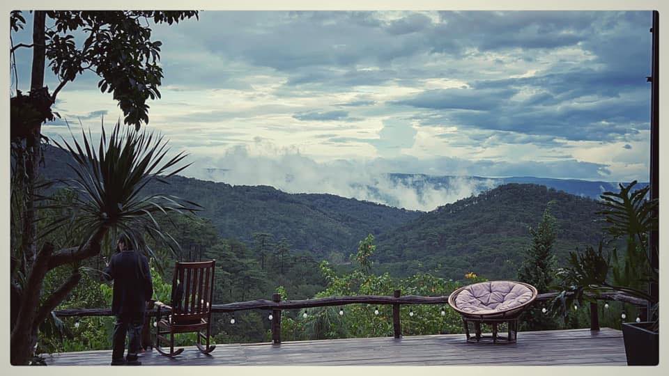 Gâu Garden - quán cafe Đà Lạt view đẹp trên đồi với đàn cún thân thiện