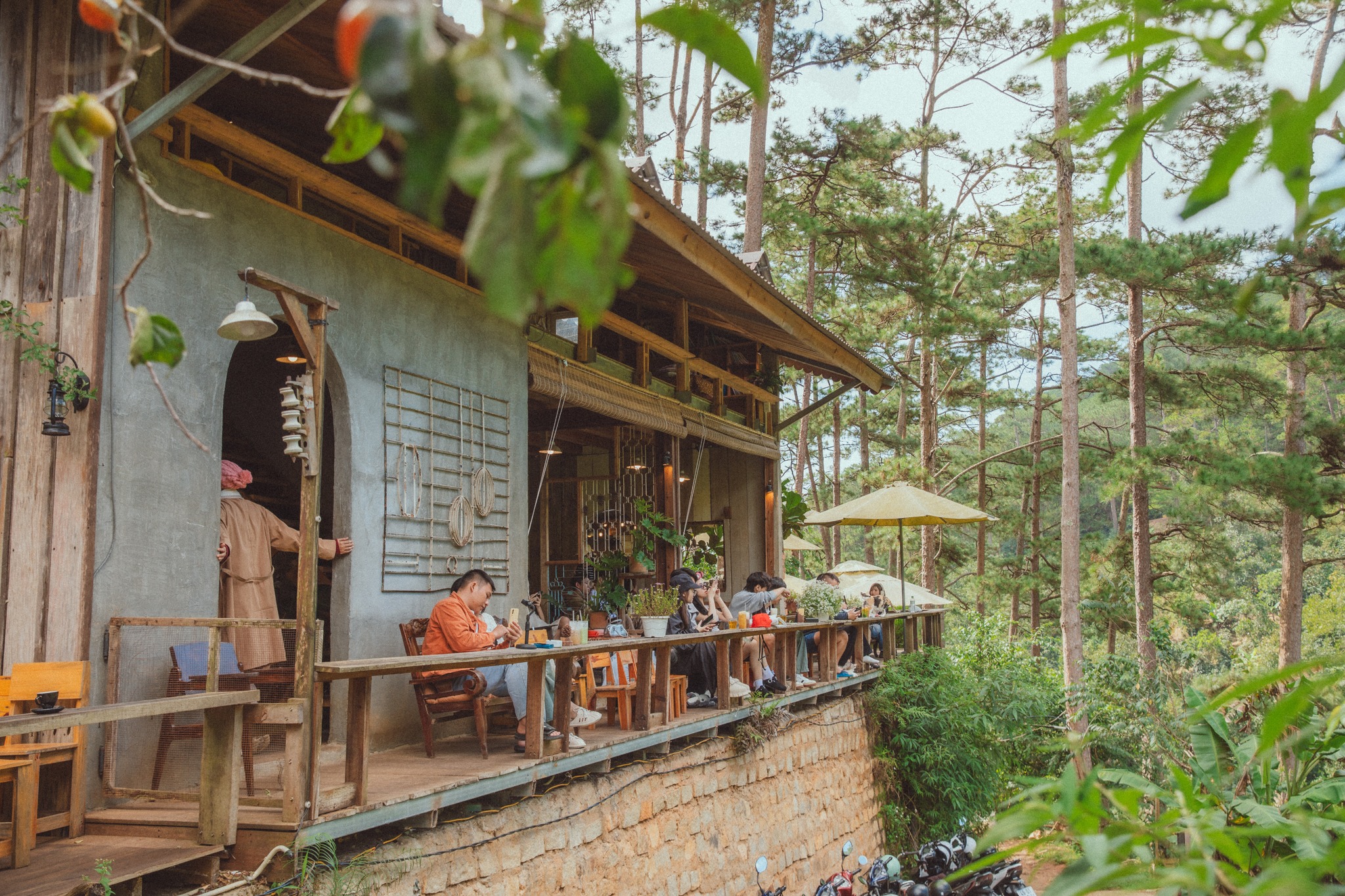 Lưng Chừng - quán cafe Đà Lạt nằm giữa rừng thông với không gian yên bình