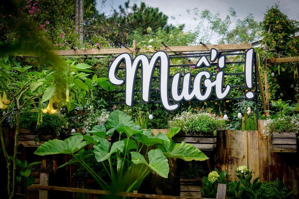 Muối Coffee Stay với cửa kính lớn tầm nhìn thung lũng quán cafe đà lạt