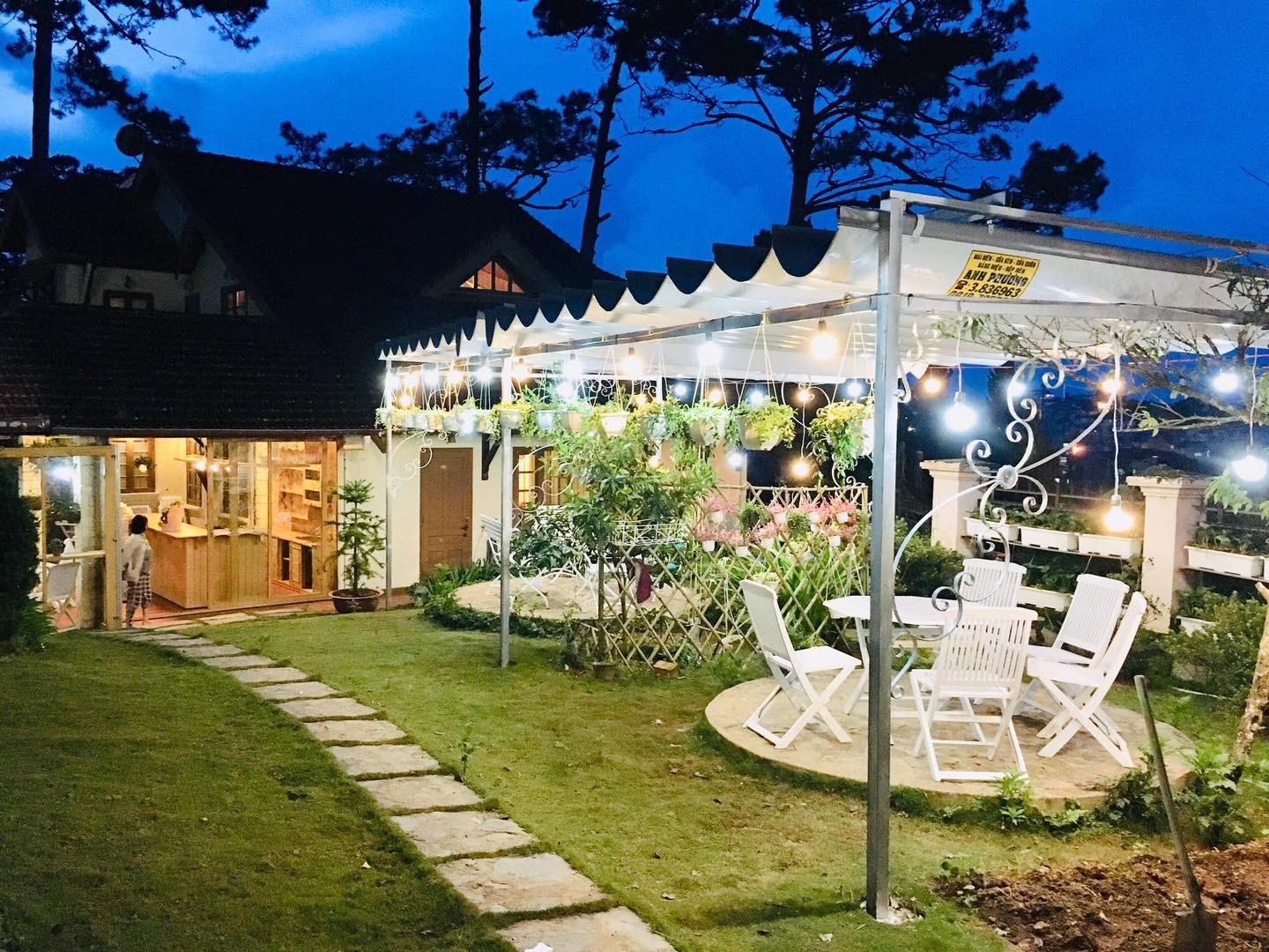 Tout Petit - quán cafe Đà Lạt phong cách vintage với những chú mèo dễ thương