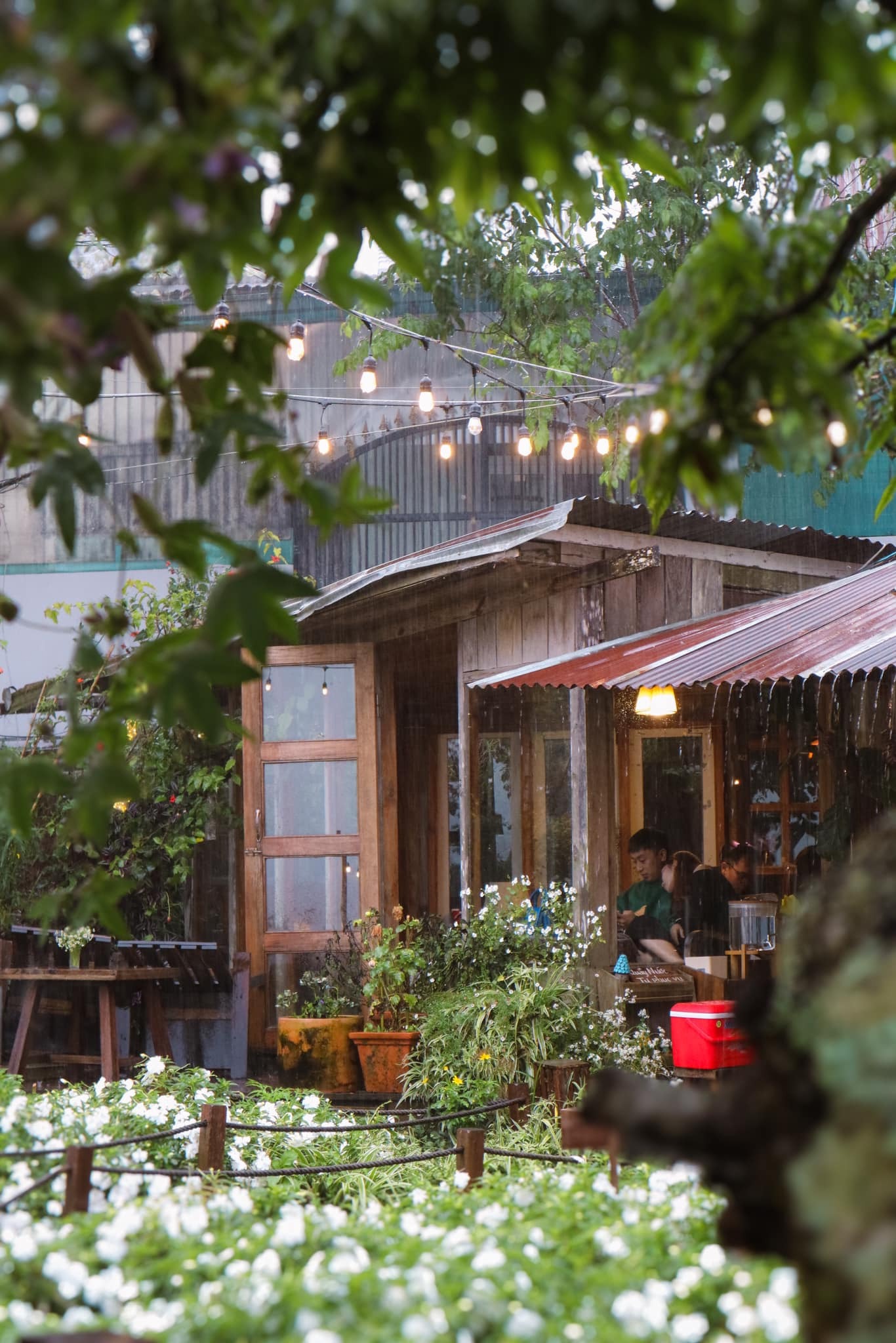 Túi Mơ To với ghế mây và tầm nhìn hoàng hôn tuyệt đẹp quán cafe đà lạt