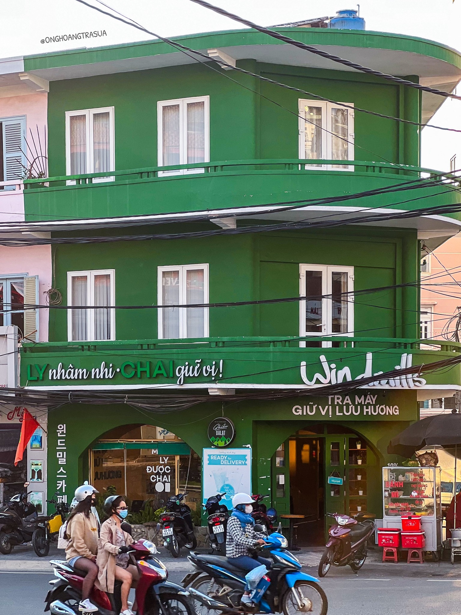 Windmills Coffee phong cách Hàn Quốc với vườn hoa rực rỡ
