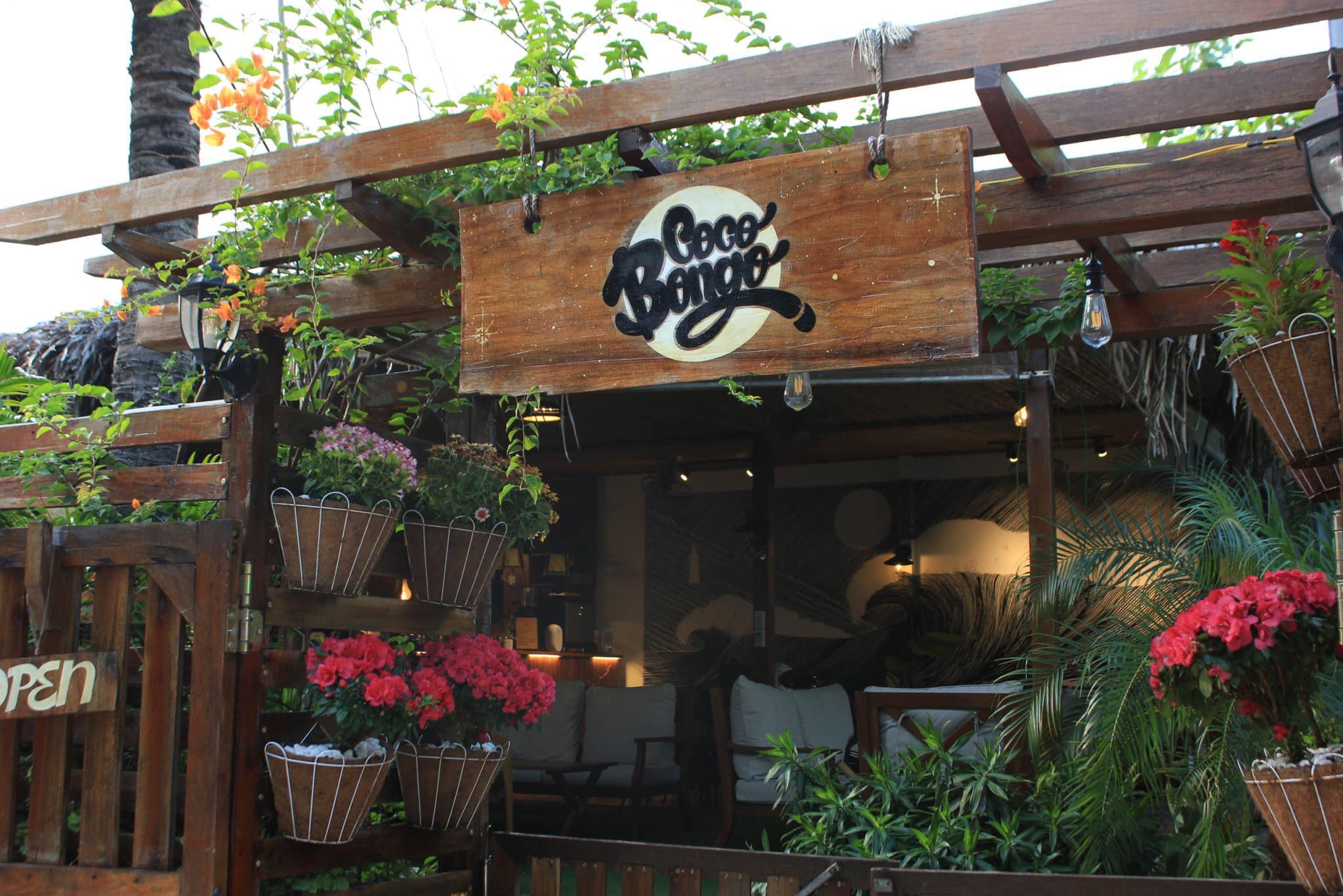 Coco Bongo Dog Cafe - quán cà phê thú cưng ở Đà Nẵng thiết kế sân vườn