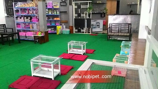 Nobipet Coffee - quán cà phê thú cưng ở Đà Nẵng với nhiều loài động vật