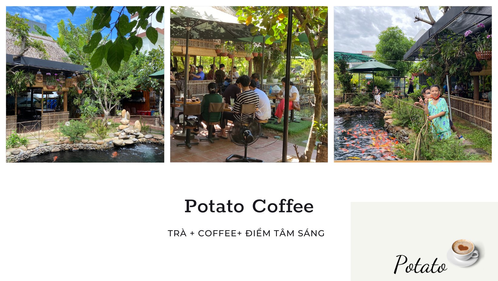 Potato Coffee - quán cà phê thú cưng ở Đà Nẵng với không gian xanh mát