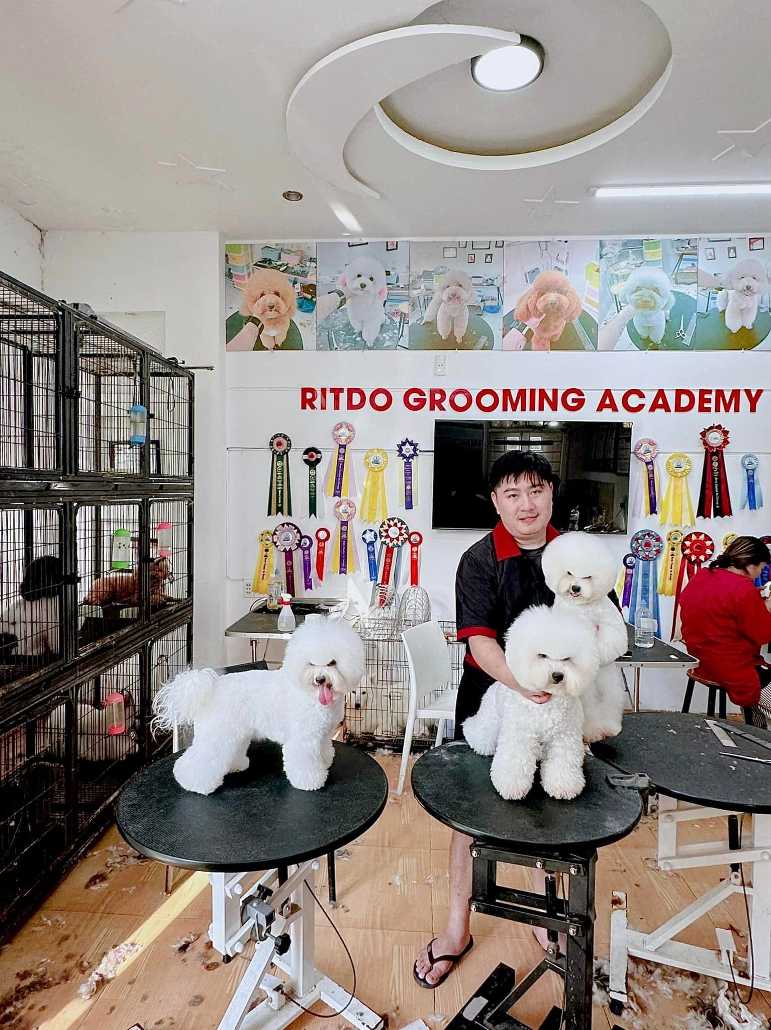 Ritdo Pet Cafe & Spa - quán cà phê thú cưng ở Đà Nẵng dành cho người yêu chó