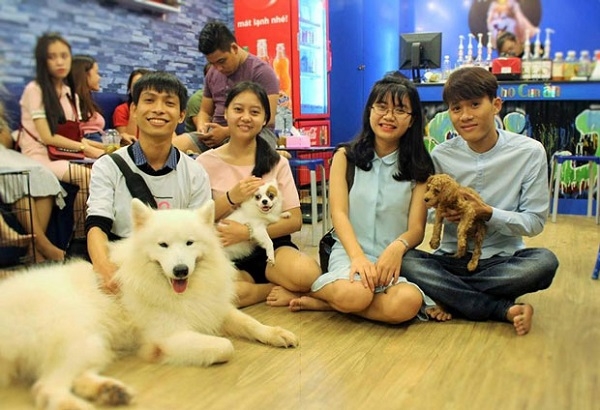 Saito Pet Cafe - quán cà phê thú cưng ở Đà Nẵng nổi tiếng với chó Alaska