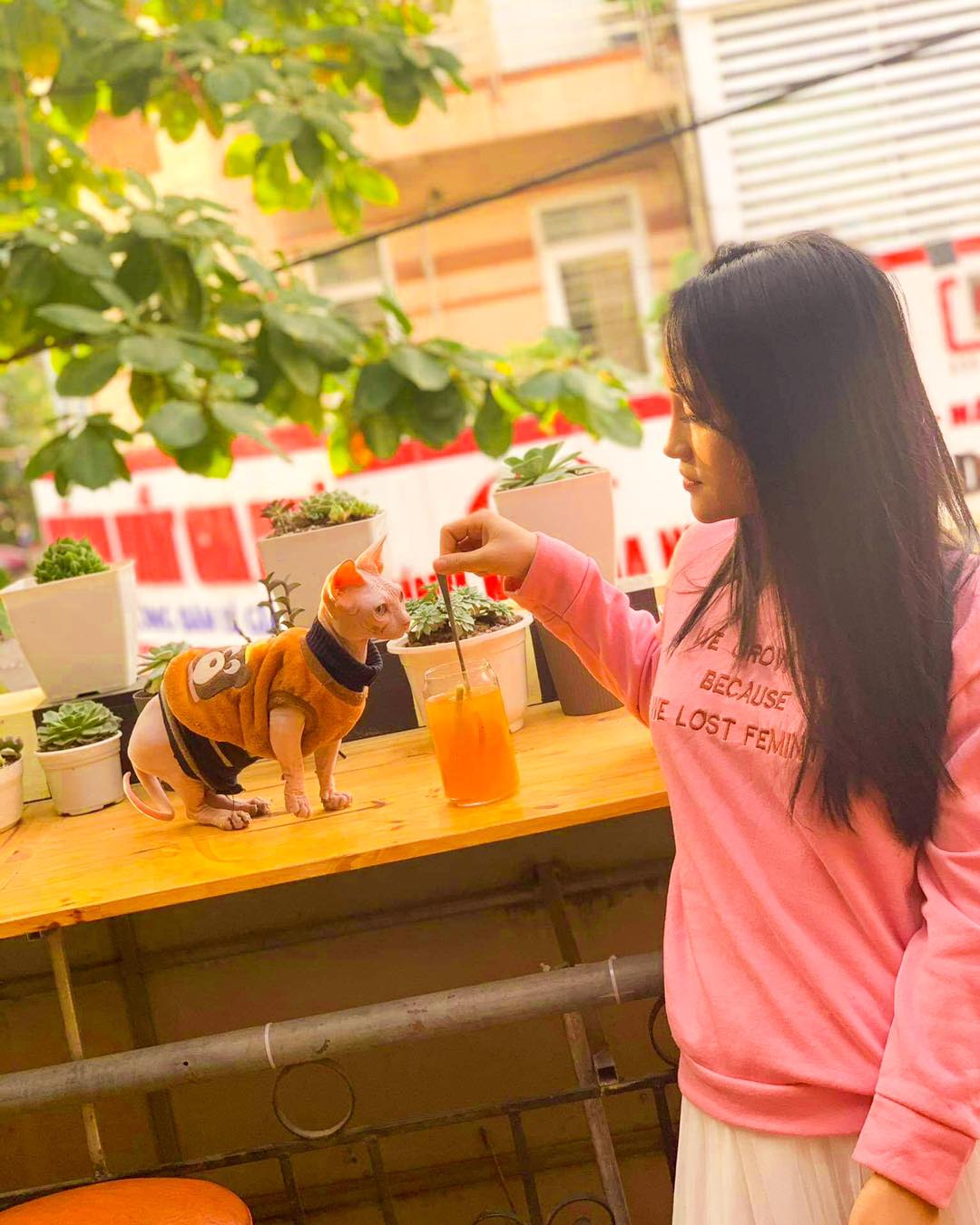 Ruby Cafe - quán có mèo Sphynx không lông