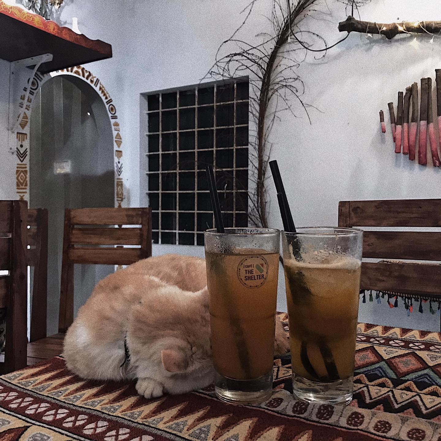 The Shelter Café - phong cách bohemian độc đáo