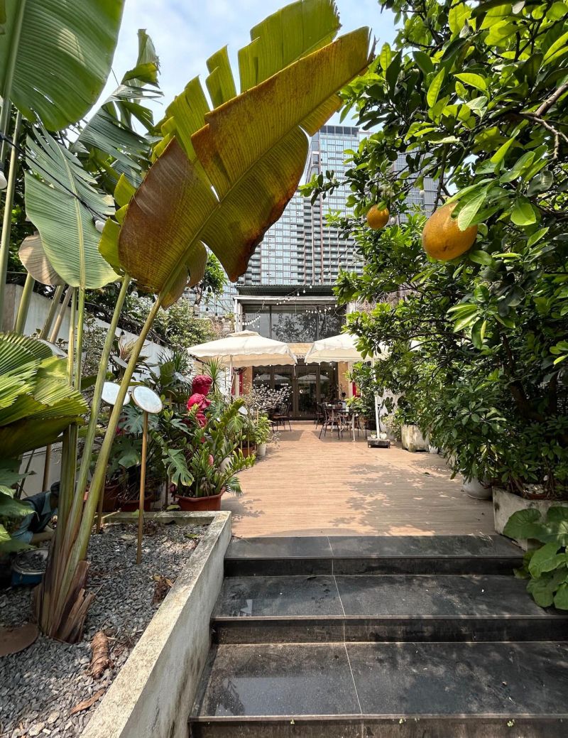 Không gian xanh và nghệ thuật tại Avos and Mango Coffee Shop