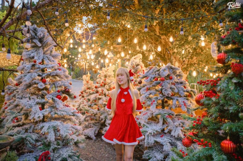 NEAR Coffee Dalat trang trí Noel chỉn chu