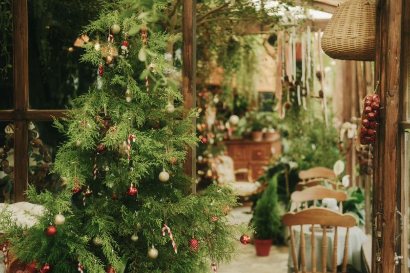 Khu Vườn Mùa Hè sắc hoa đẹp