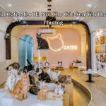 19 Quán Cafe Mèo Hà Nội Cho Các Sen Yêu Hoàng Thượng