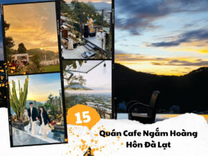Cafe Ngắm Hoàng Hôn Đà Lạt: 15 Địa Điểm Sống Ảo Cực Chill