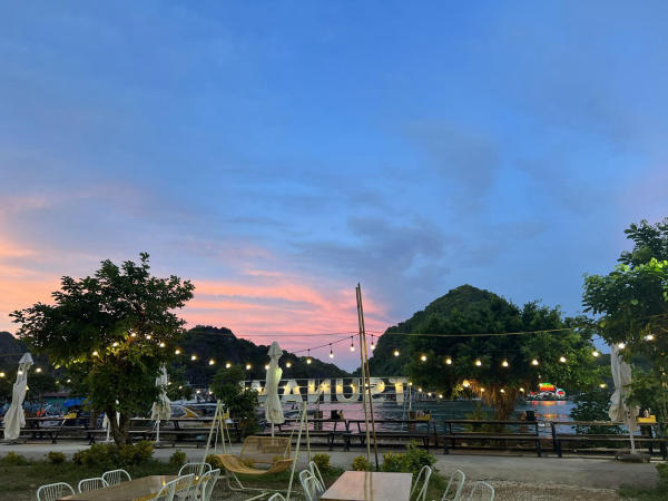 Không gian cắm trại tại Tsunami Cafe