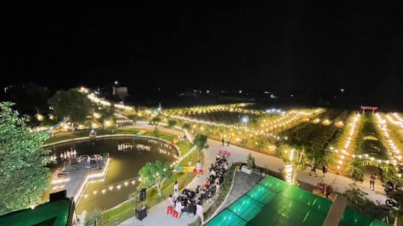 Vườn Thanh Long Coffee - View vườn thanh long rộng lớn