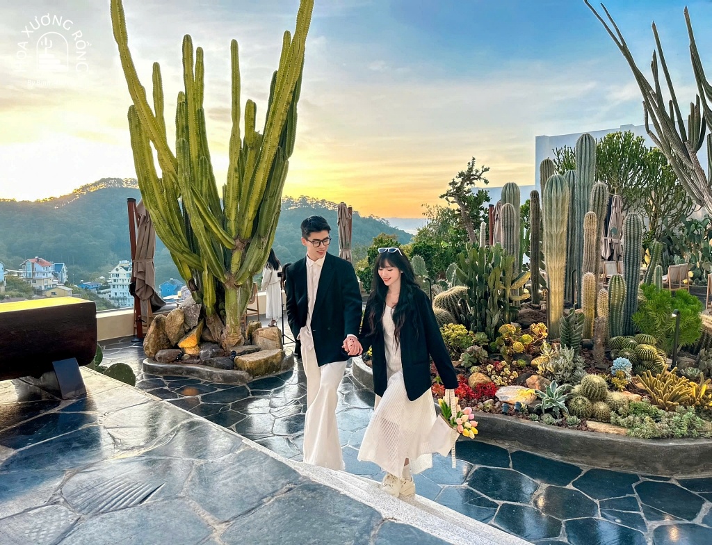 Hoa Xương Rồng Cafe phong cách Địa Trung Hải